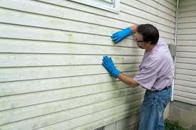 Affordable Siding Repair and Maintenance Services in Dousman, WI